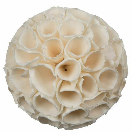 DARE2DECOR 3.2 in. Sola Crape Ball Artificial Flowers, Natural - 25 Piece per Pack DA3256804